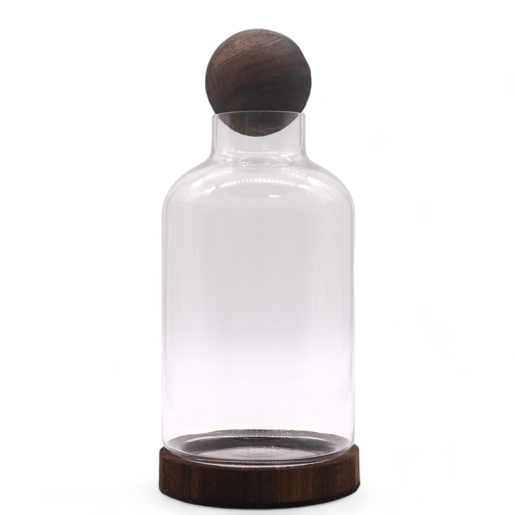 Glass Large Ball Top Terrarium on Dark Tungwood – detail view 3 of glass terrarium