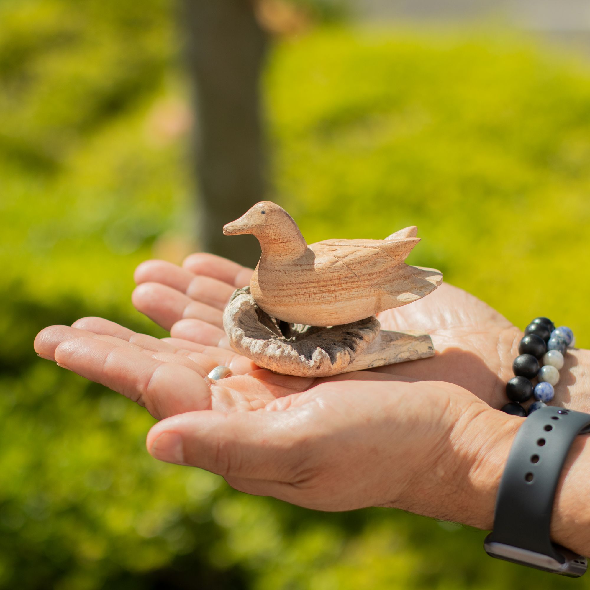 Hand-Carved Parasite Wood Resting Duck Sculpture – detail view 4