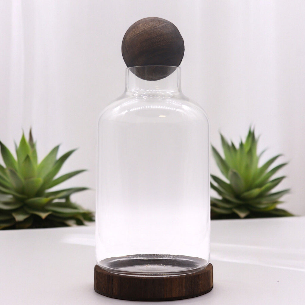 Glass Large Ball Top Terrarium on Dark Tungwood – detail view 4 of glass terrarium