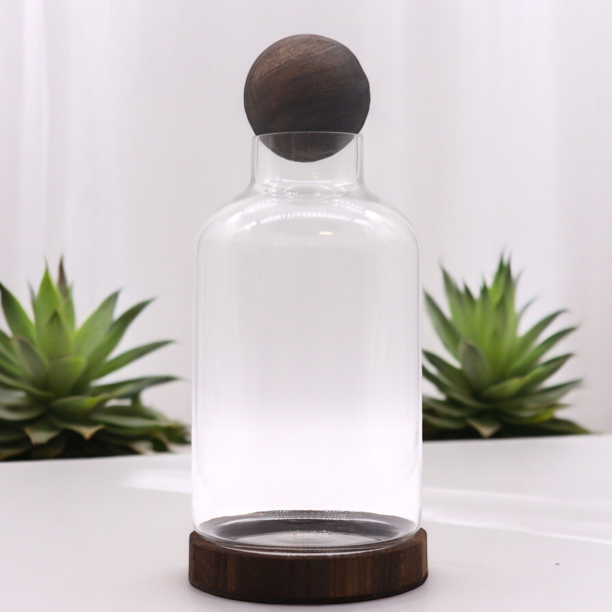 Glass Large Ball Top Terrarium on Dark Tungwood – detail view 4 of glass terrarium