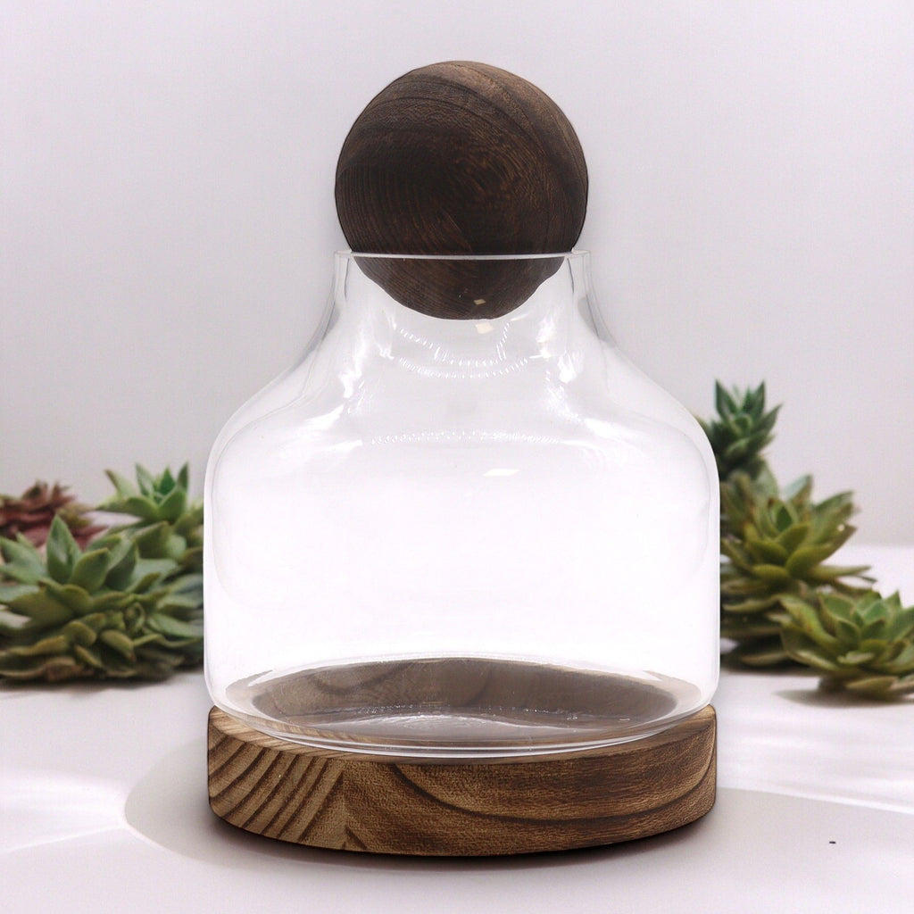 Glass Medium Ball Top Terrarium on Dark Tungwood – detail view 2 of glass terrarium
