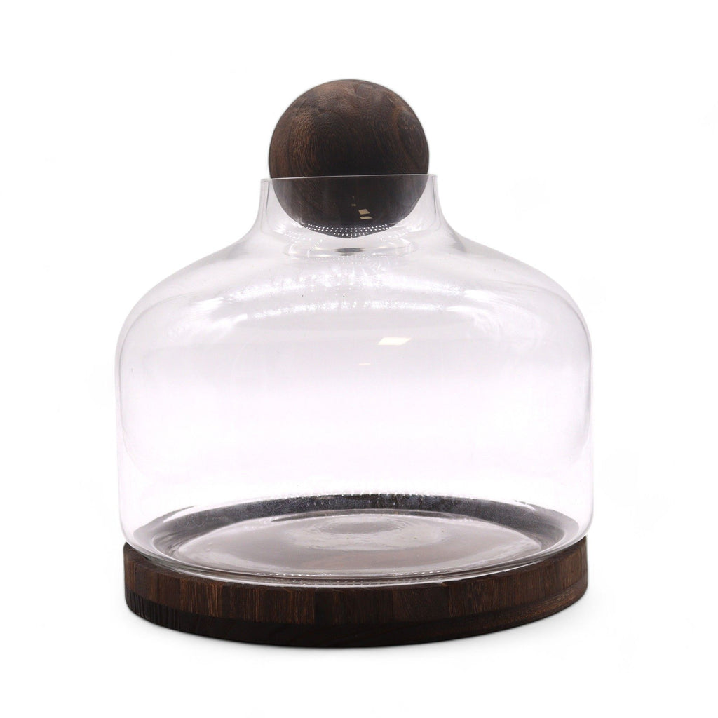 Glass Extra Large Ball Top Terrarium on Dark Tungwood – detail view 3 of glass terrarium