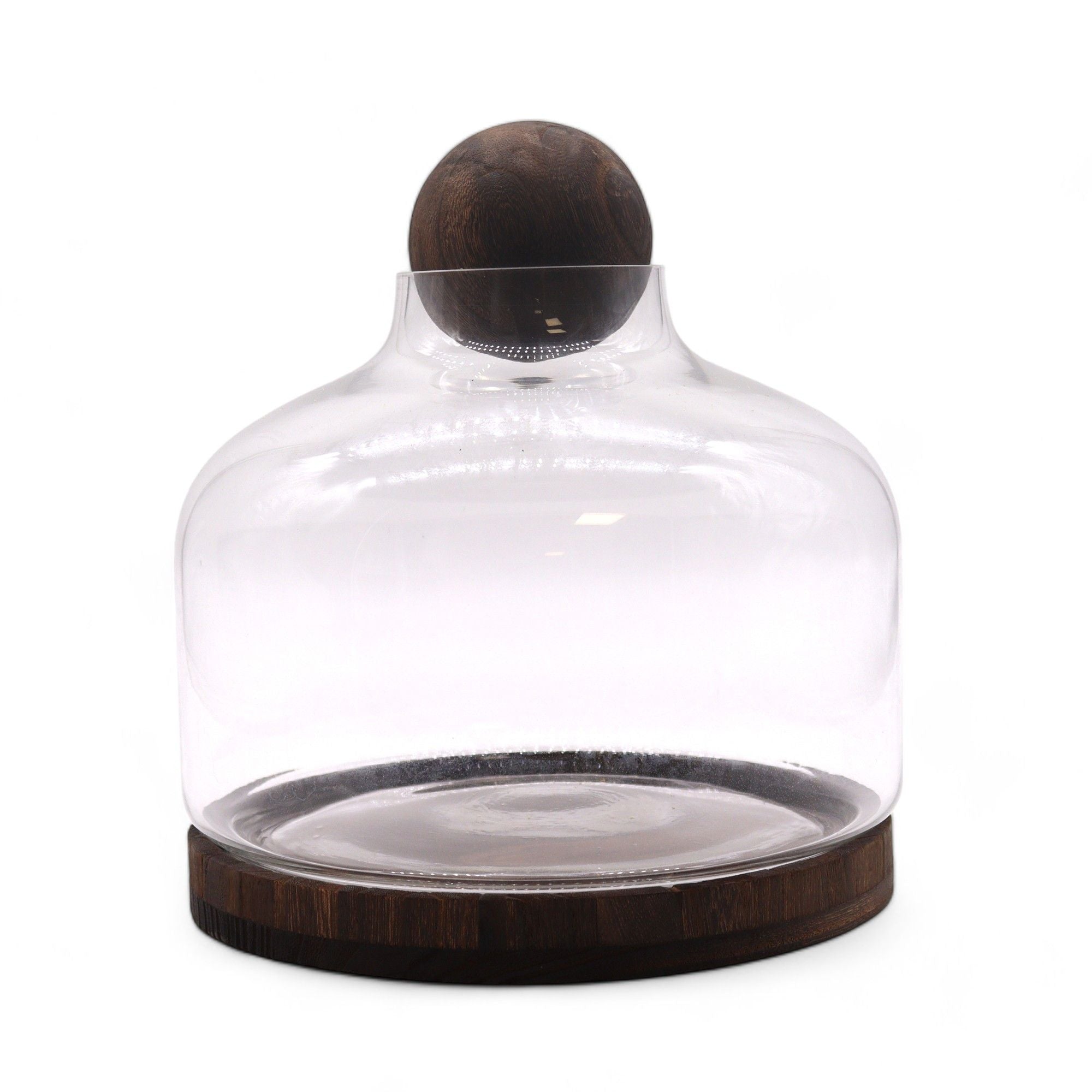 Glass Extra Large Ball Top Terrarium on Dark Tungwood – detail view 3 of glass terrarium