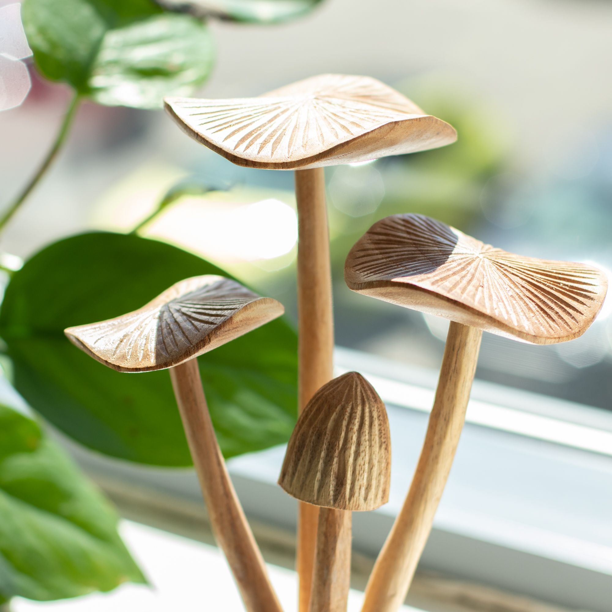 Large Handcrafted Parasite Wood Mushroom Sculptures - Set of 4 – detail view 4