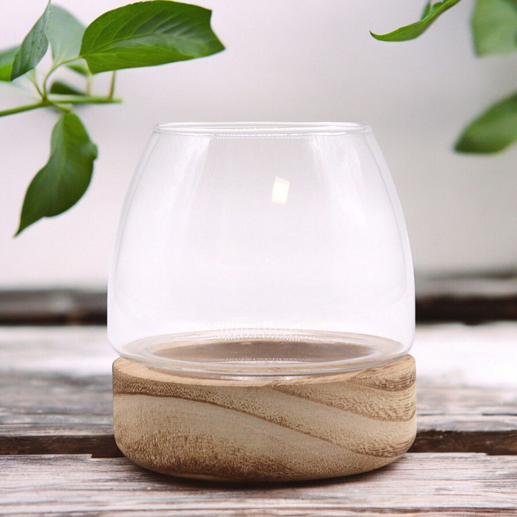 Glass Mini Terrarium on Natural Tungwood – detail view 2 of glass terrarium