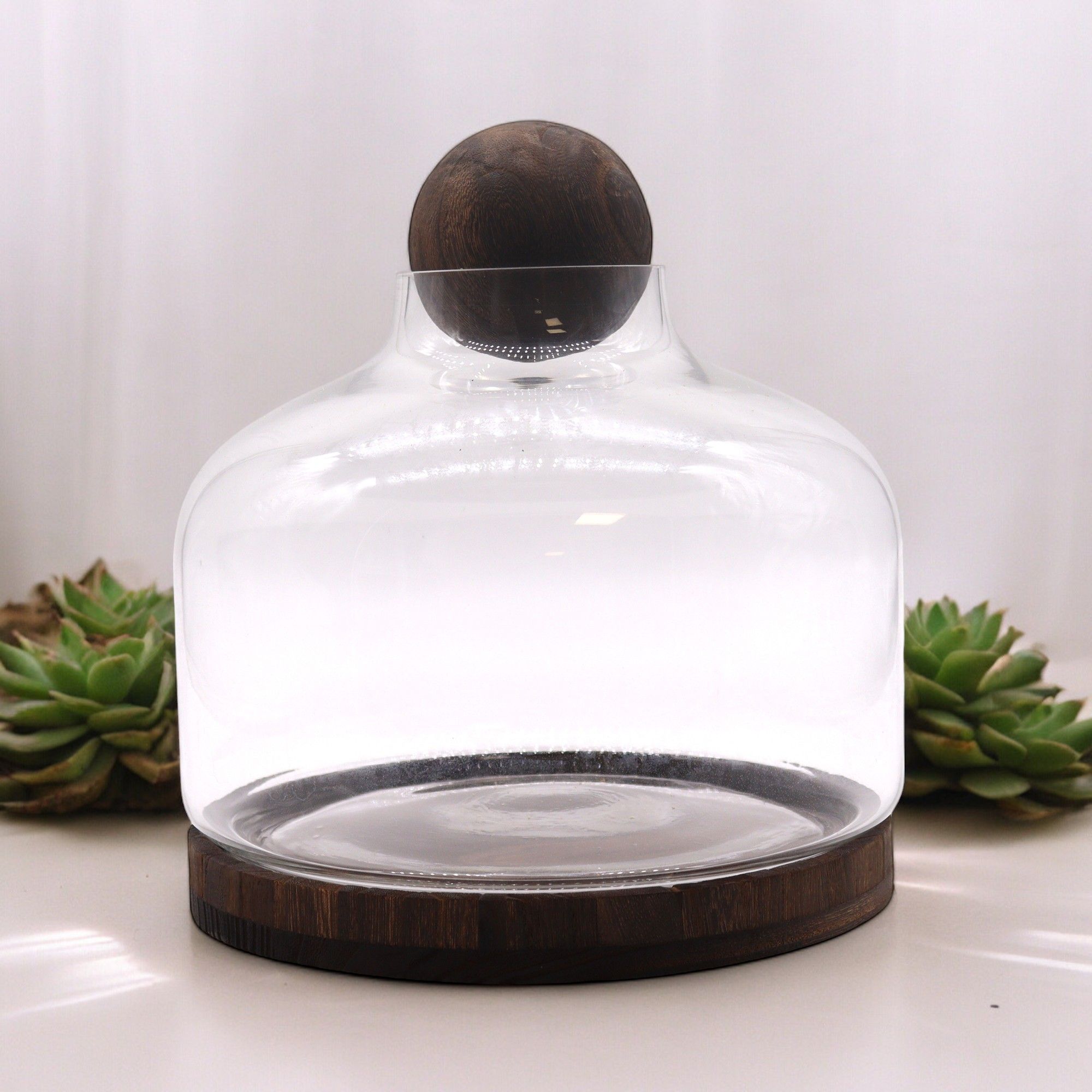 Glass Extra Large Ball Top Terrarium on Dark Tungwood – front product view of glass terrarium