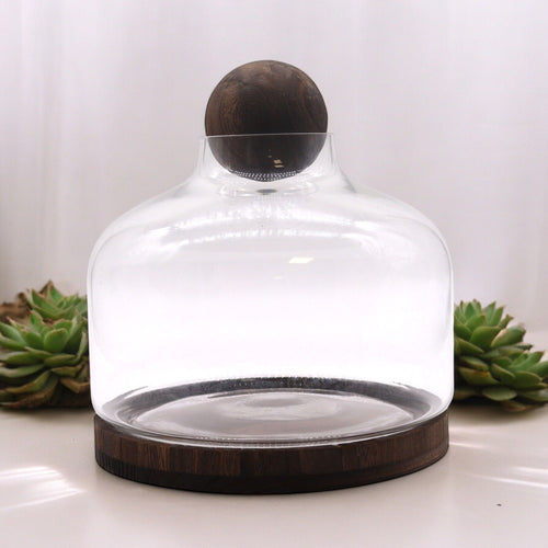 Glass Extra Large Ball Top Terrarium on Dark Tungwood – front product view of glass terrarium