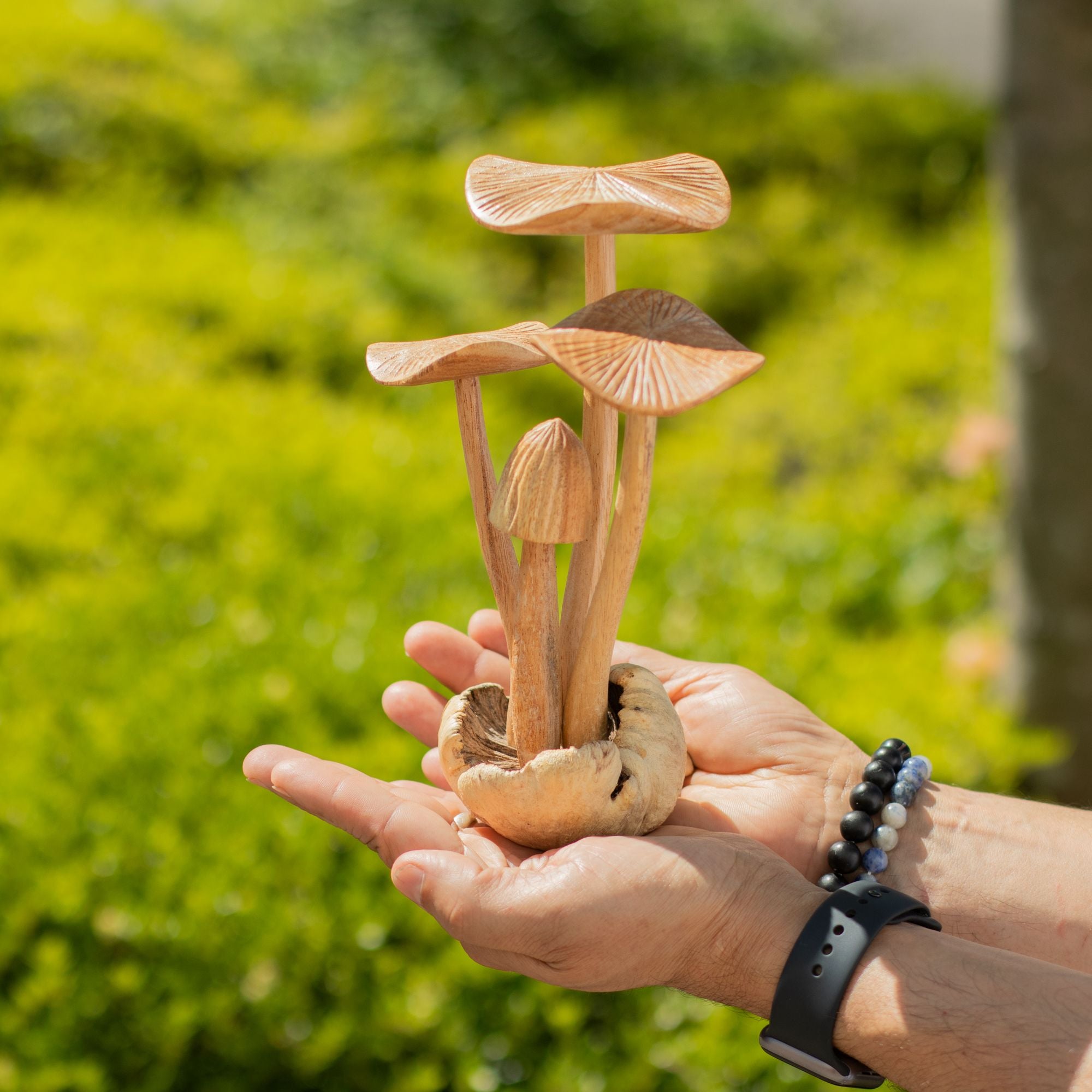 Large Handcrafted Parasite Wood Mushroom Sculptures - Set of 4 – detail view 5
