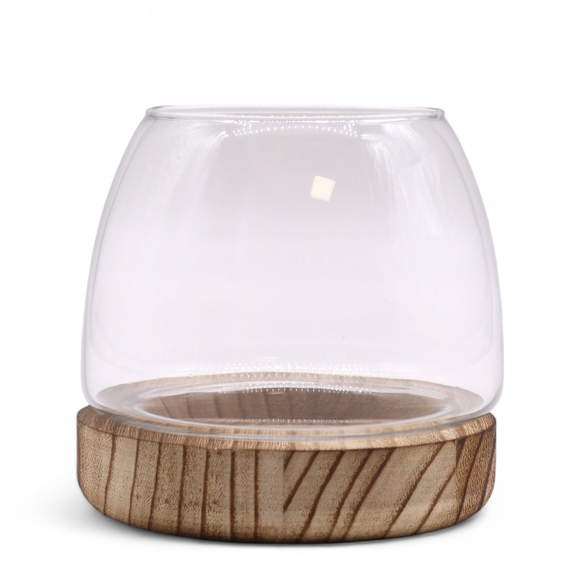 Glass Small Terrarium on Natural Tungwood – detail view 2 of glass terrarium