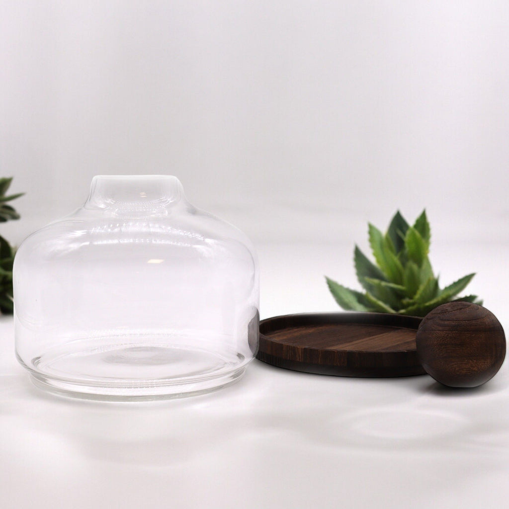 Glass Extra Large Ball Top Terrarium on Dark Tungwood – detail view 4 of glass terrarium