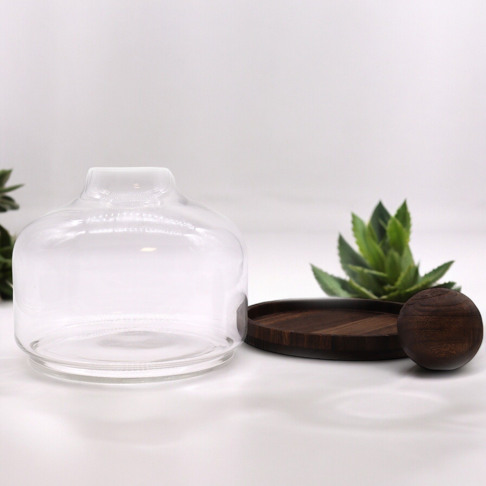 Glass Extra Large Ball Top Terrarium on Dark Tungwood – detail view 4 of glass terrarium