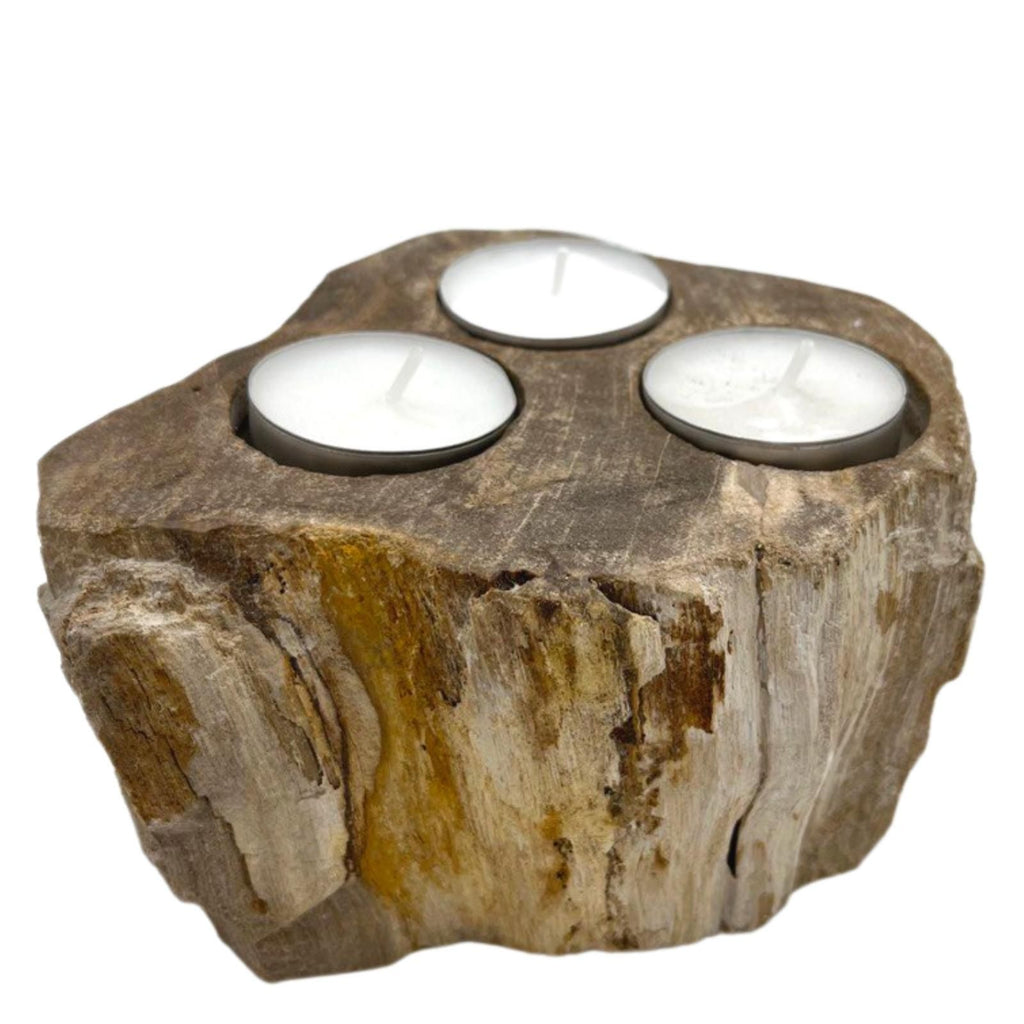 Petrified Wood Candle Holder – Triple – detail view 2 of petrified wood candle holder