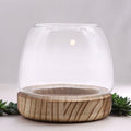 Glass Small Terrarium on Natural Tungwood – front product view of glass terrarium