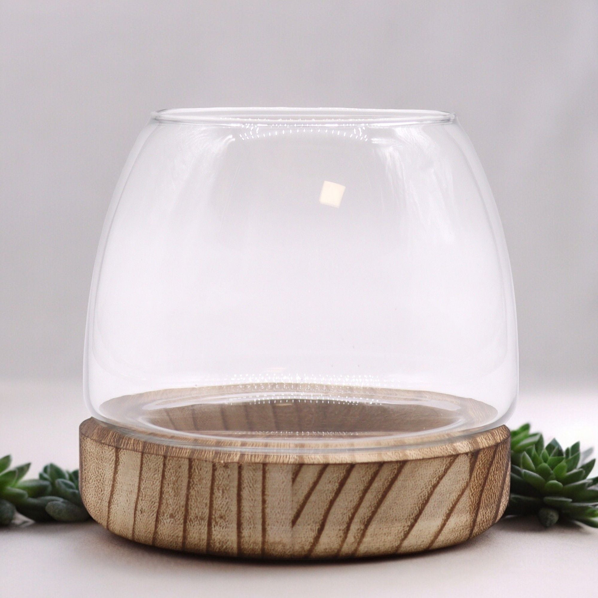 Glass Small Terrarium on Natural Tungwood – front product view of glass terrarium