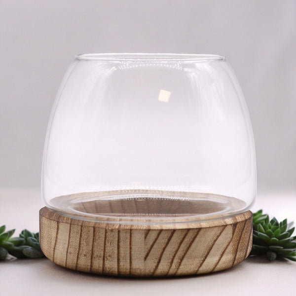 Glass Small Terrarium on Natural Tungwood – front product view of glass terrarium