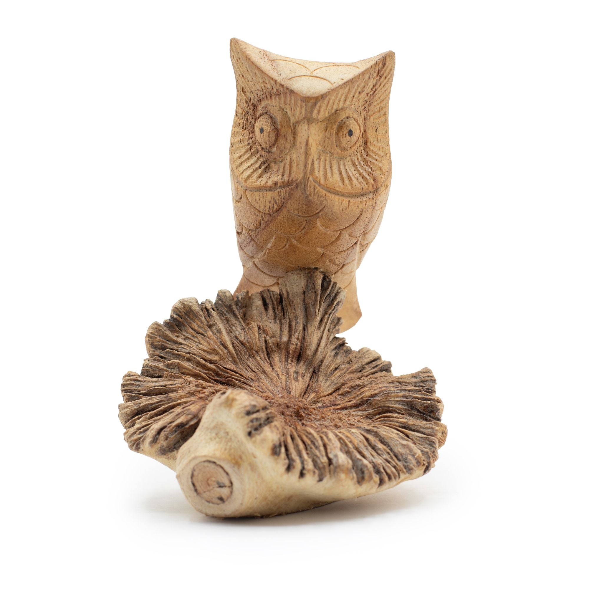 Hand-Carved Parasite Wood Owl Sculpture – detail view 2