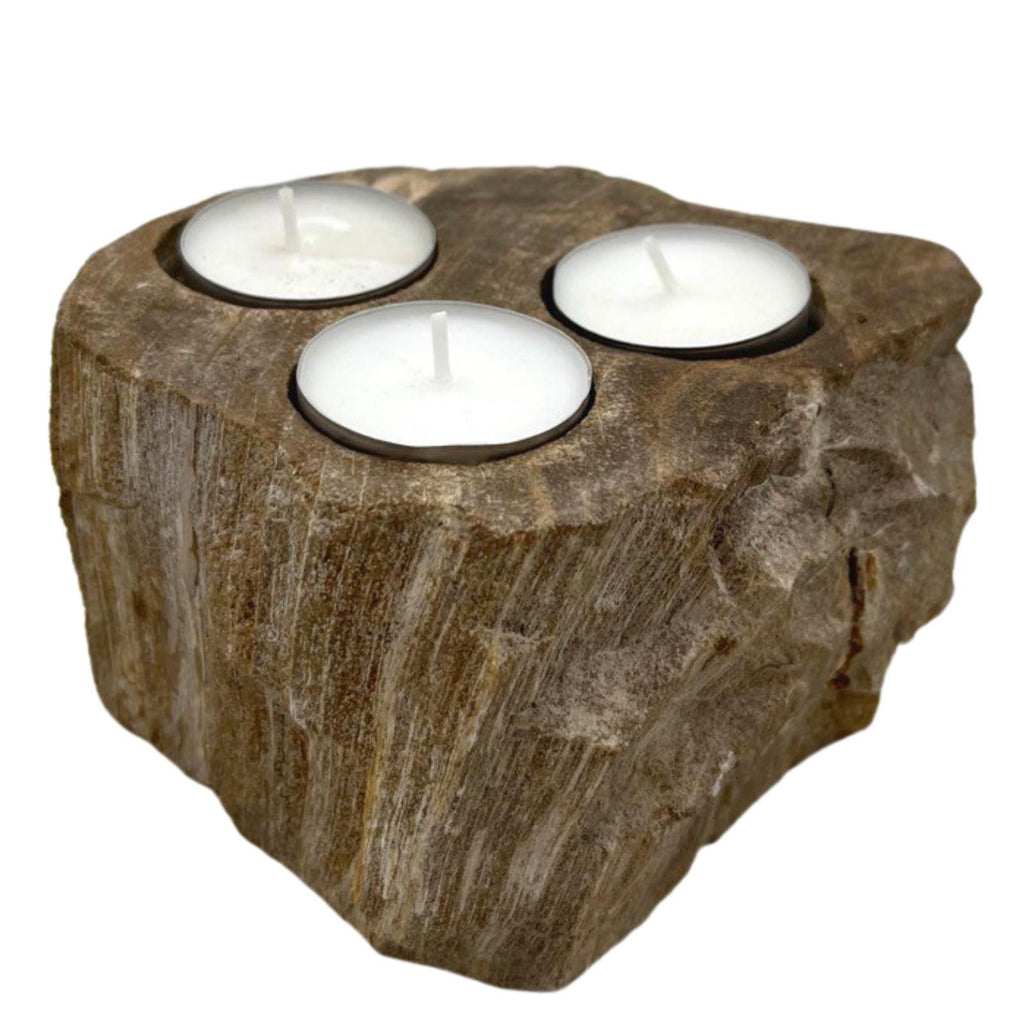 Petrified Wood Candle Holder – Triple – front product view of petrified wood candle holder