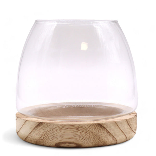 Glass Medium Terrarium on Natural Tungwood – front product view of glass terrarium