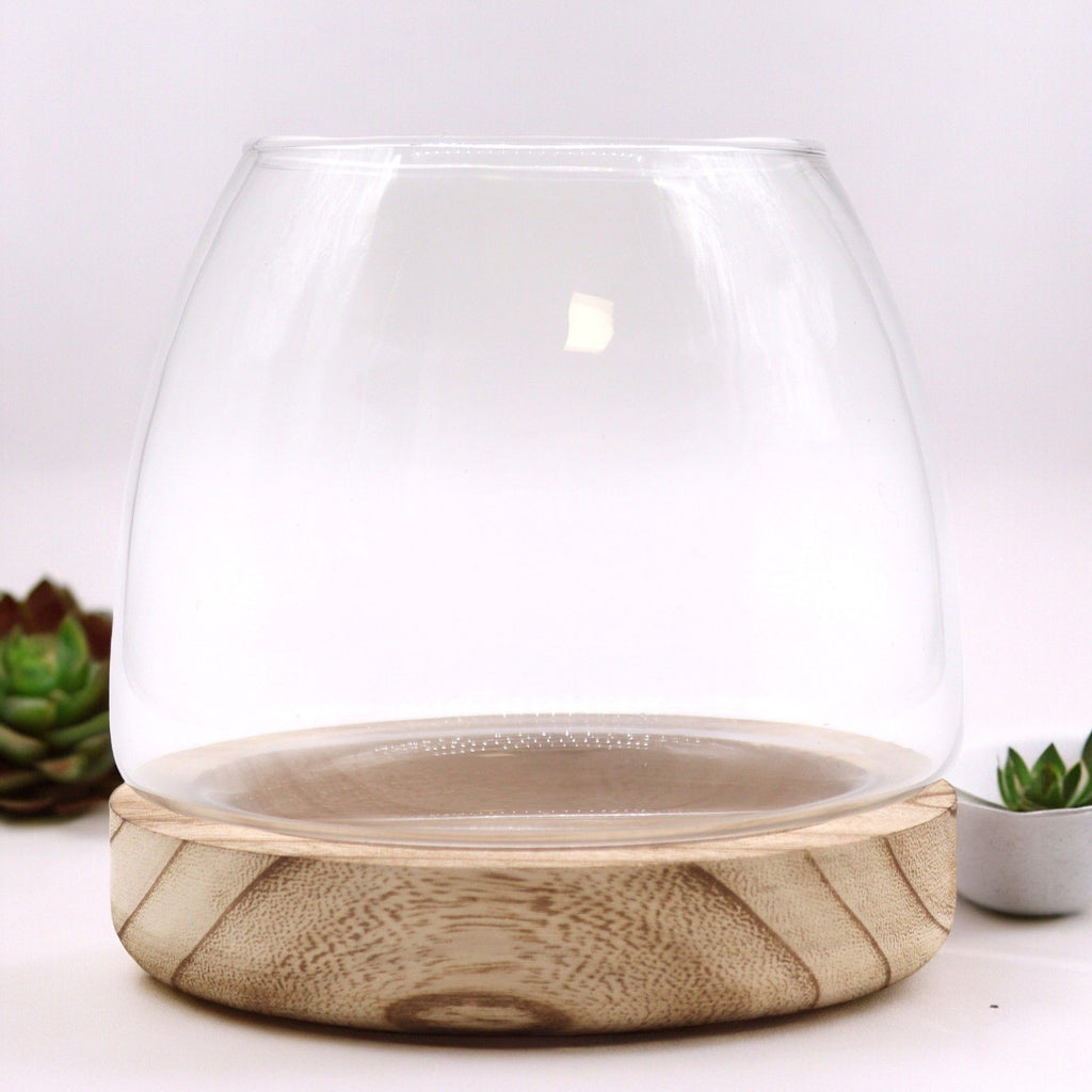 Glass Medium Terrarium on Natural Tungwood – detail view 2 of glass terrarium
