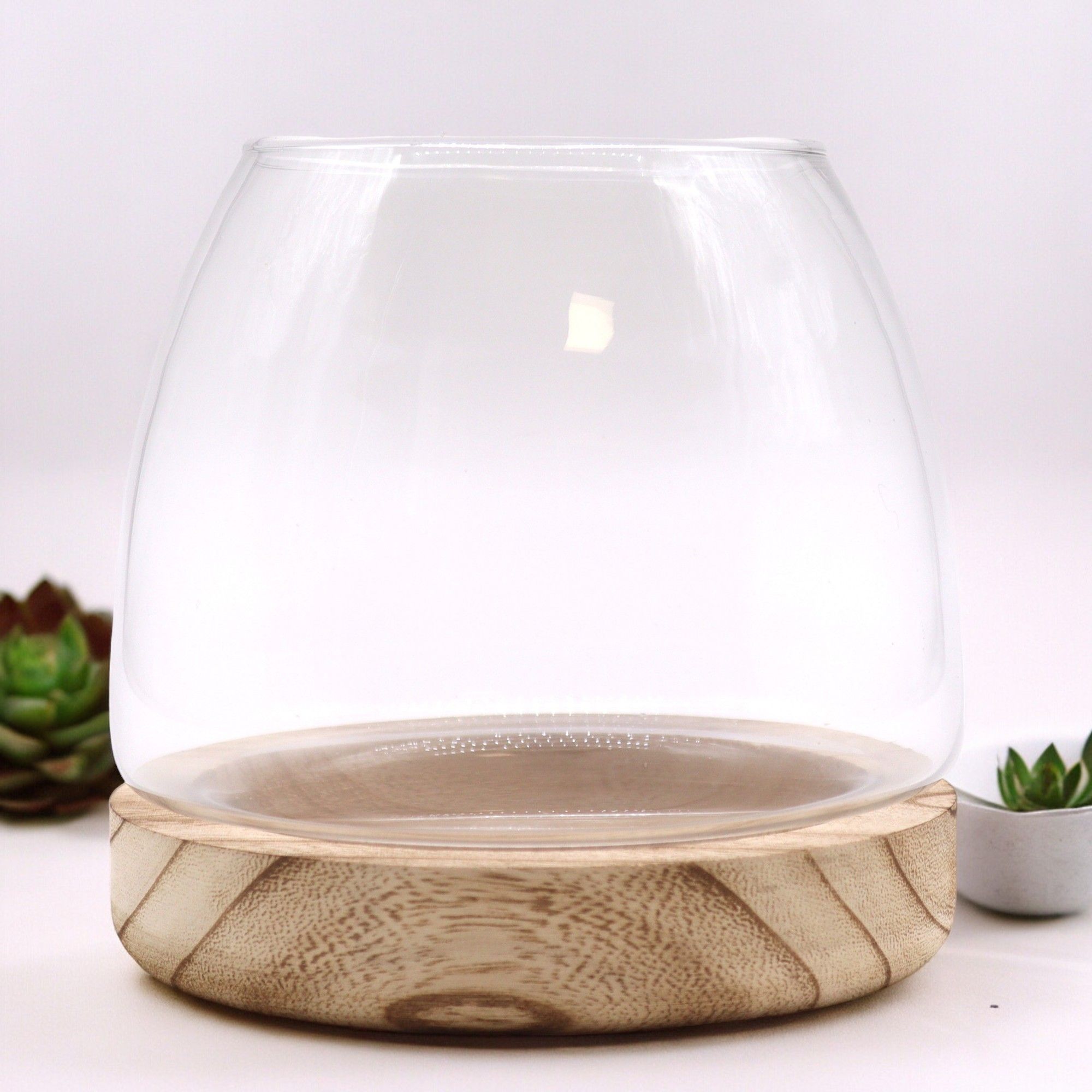 Glass Medium Terrarium on Natural Tungwood – detail view 2 of glass terrarium