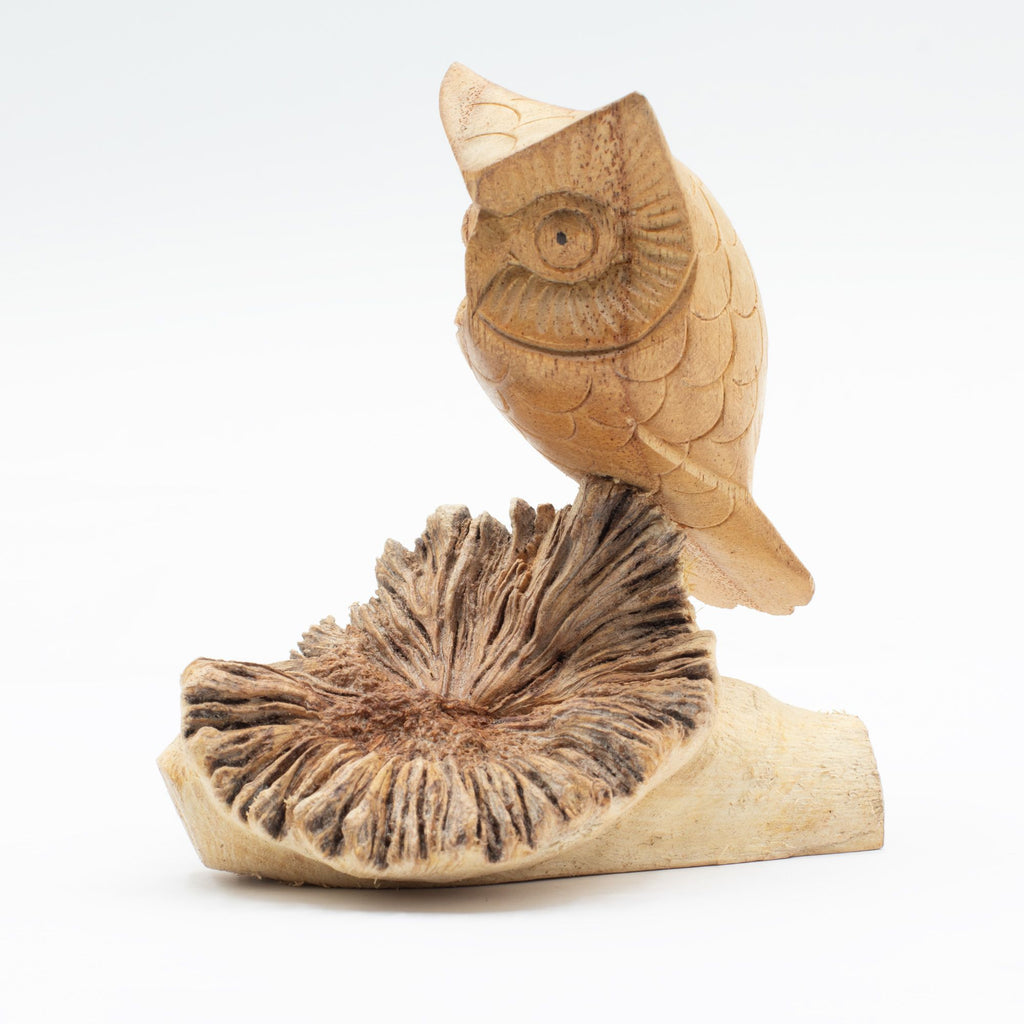 Hand-Carved Parasite Wood Owl Sculpture – detail view 5