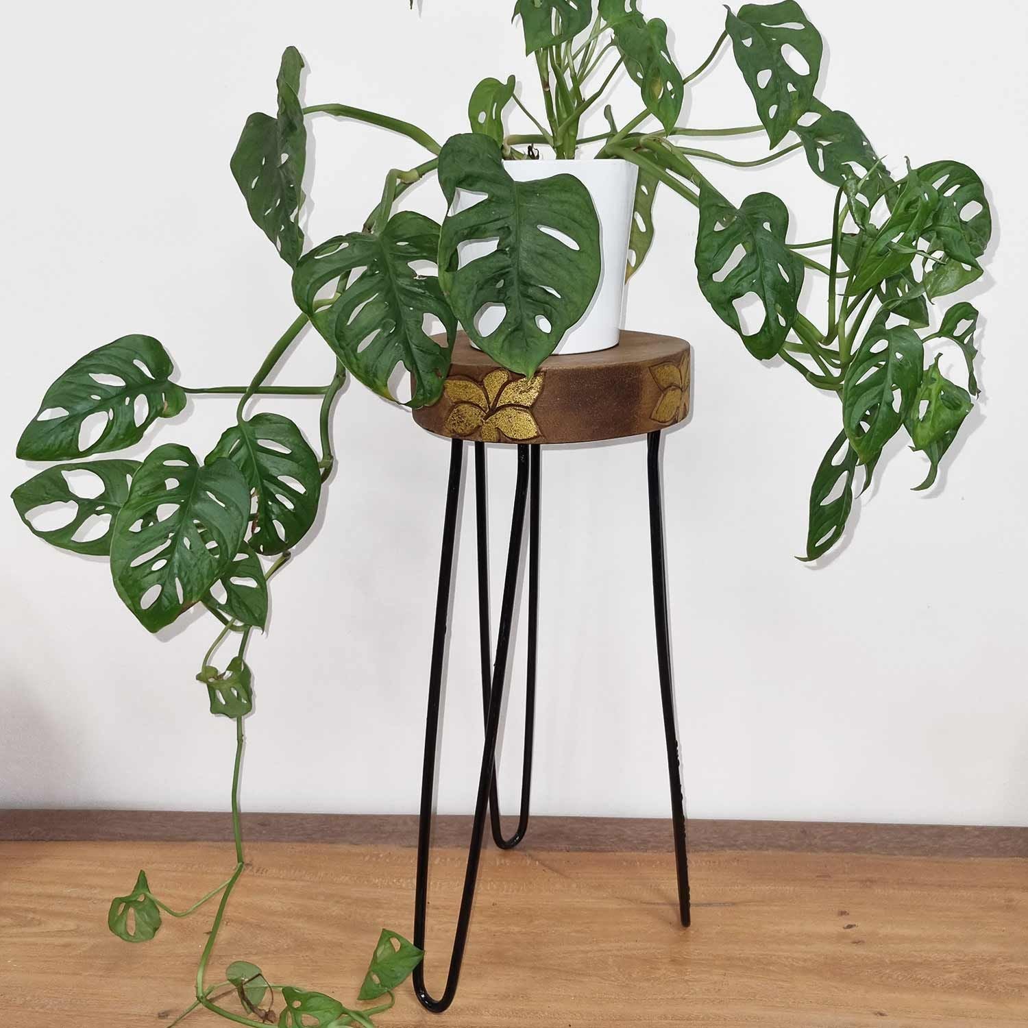 Albasia Wood Plant Stand – Natural & gold detail – detail view 2 of wooden plant stand