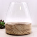 Glass Large Terrarium on Natural Tungwood – front product view of glass terrarium