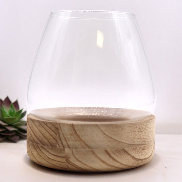 Glass Large Terrarium on Natural Tungwood – front product view of glass terrarium