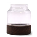 Glass Small Shaped Terrarium on Dark Tungwood – front product view of glass terrarium