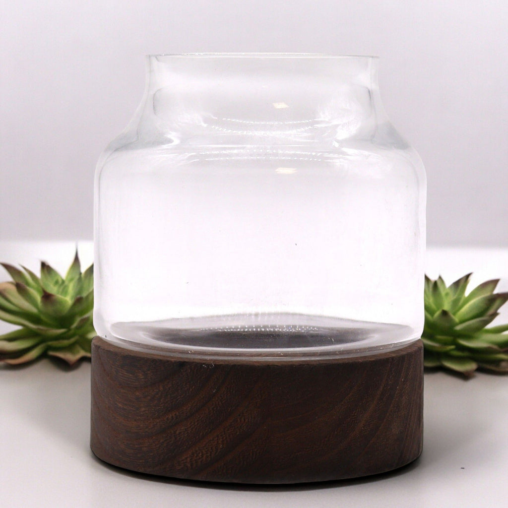 Glass Small Shaped Terrarium on Dark Tungwood – detail view 2 of glass terrarium