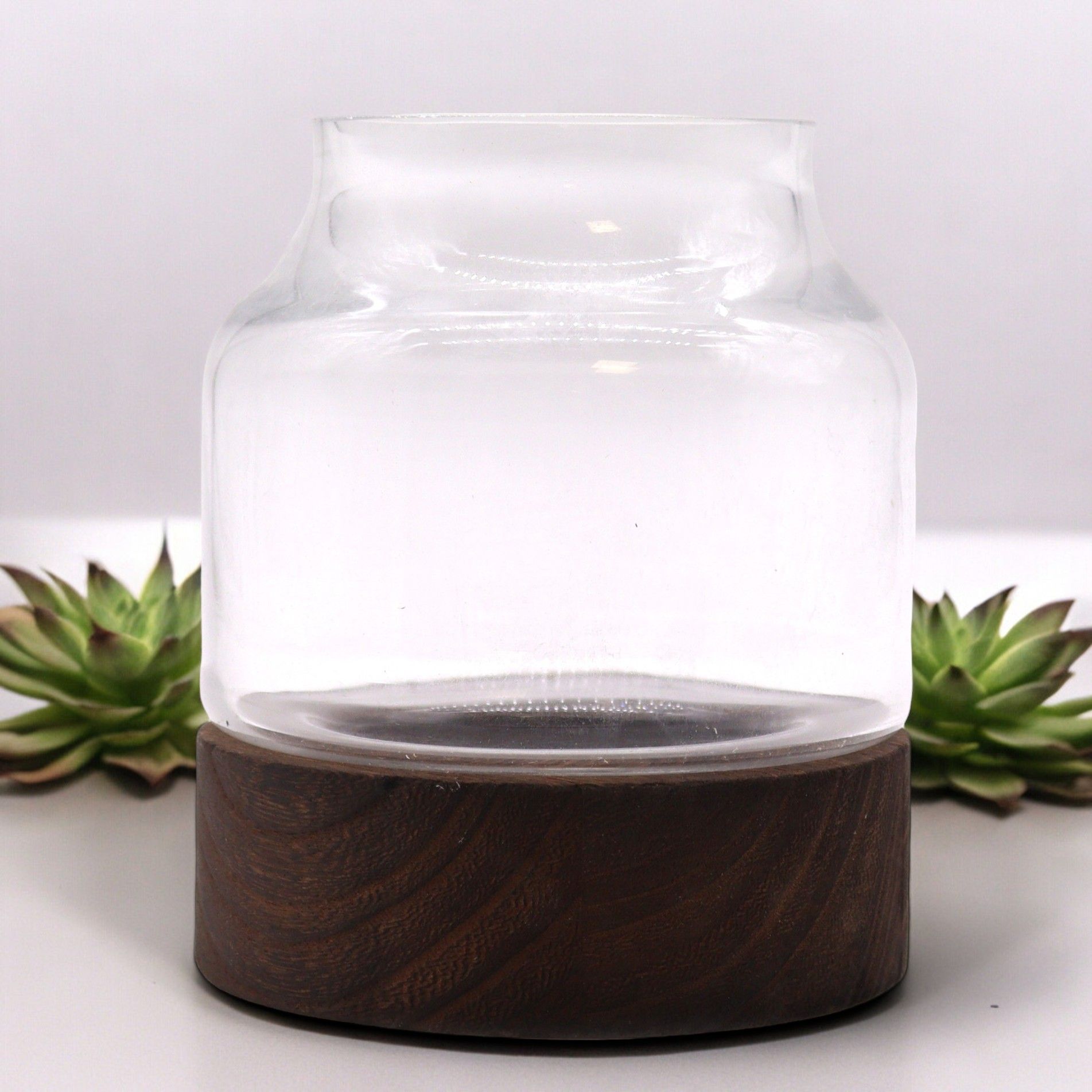 Glass Small Shaped Terrarium on Dark Tungwood – detail view 2 of glass terrarium