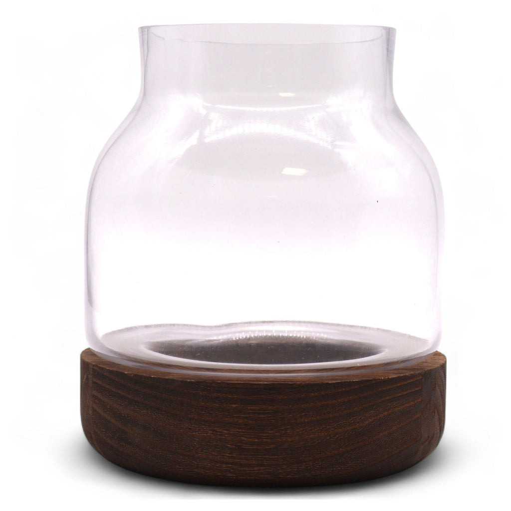 Glass Medium Shaped Terrarium on Dark Tungwood – front product view of glass terrarium