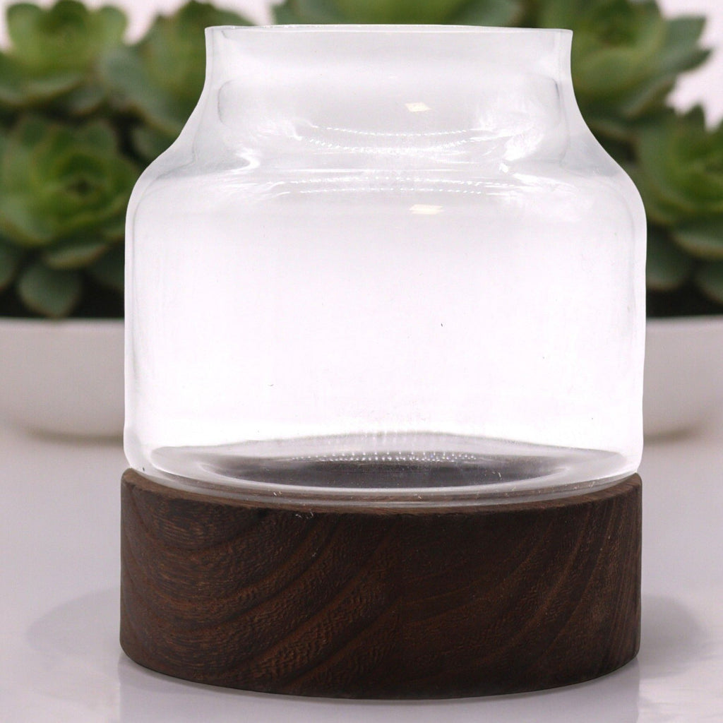 Glass Medium Shaped Terrarium on Dark Tungwood – detail view 2 of glass terrarium