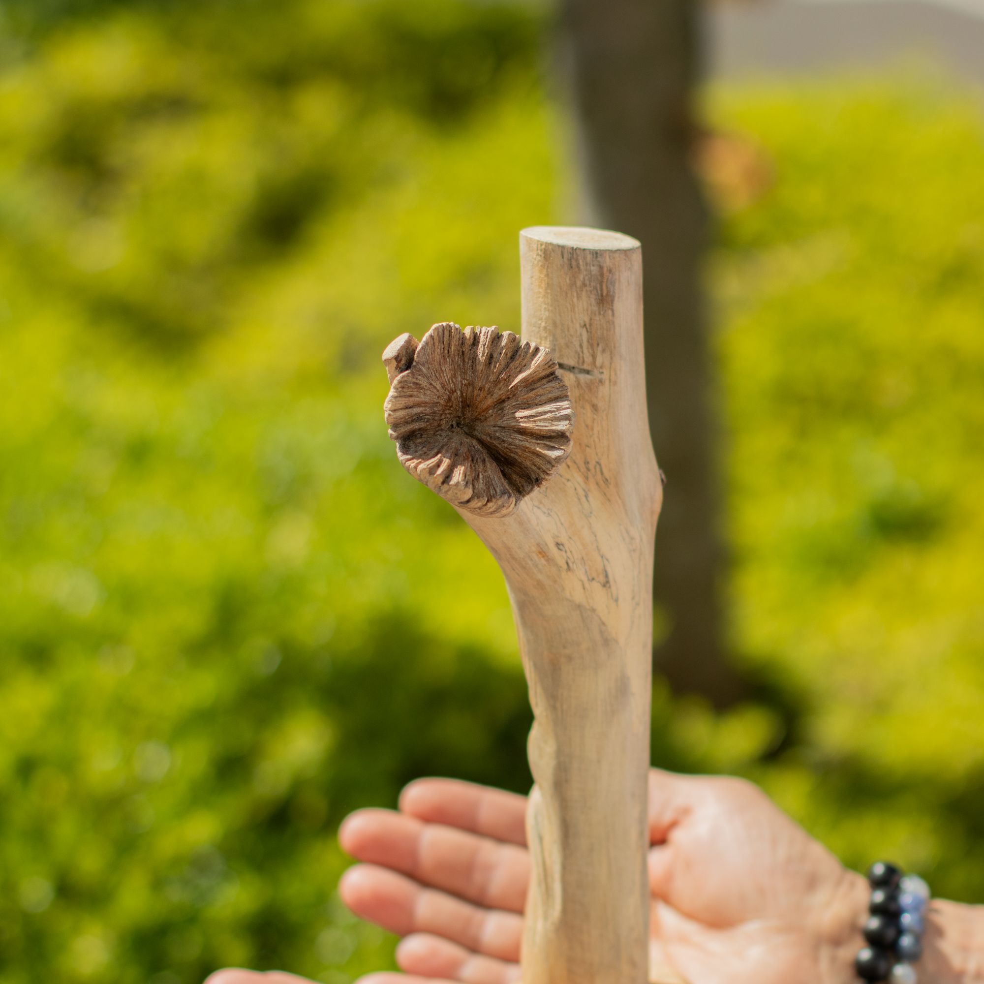 Hand-Carved Parasite Wood Greenman Sculpture – detail view 3