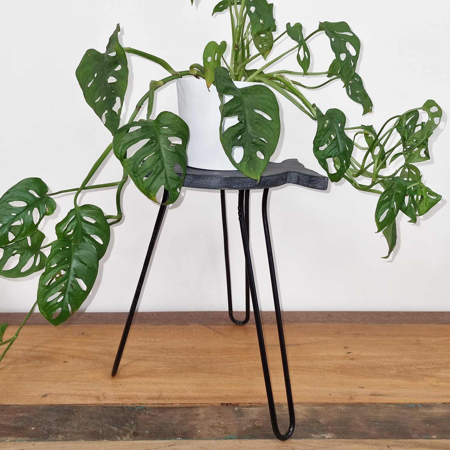 Albasia Wood Fish Stand – Greywashed – detail view 5 of wooden plant stand