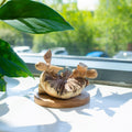 Hand-Carved Parasite Wood Beehive and Bees Sculpture – product view