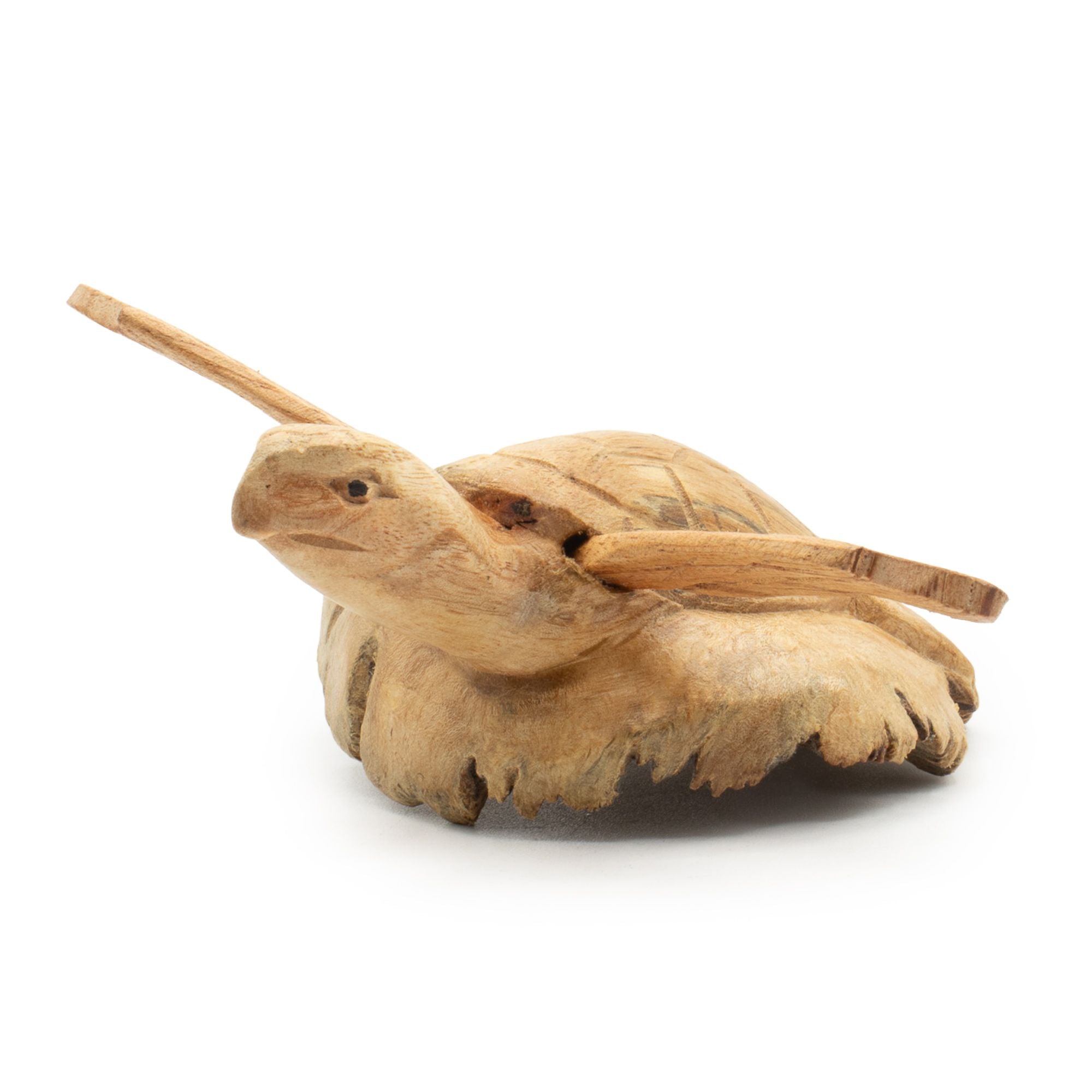Hand-Carved Parasite Wood Sea Turtle Sculpture – detail view 3