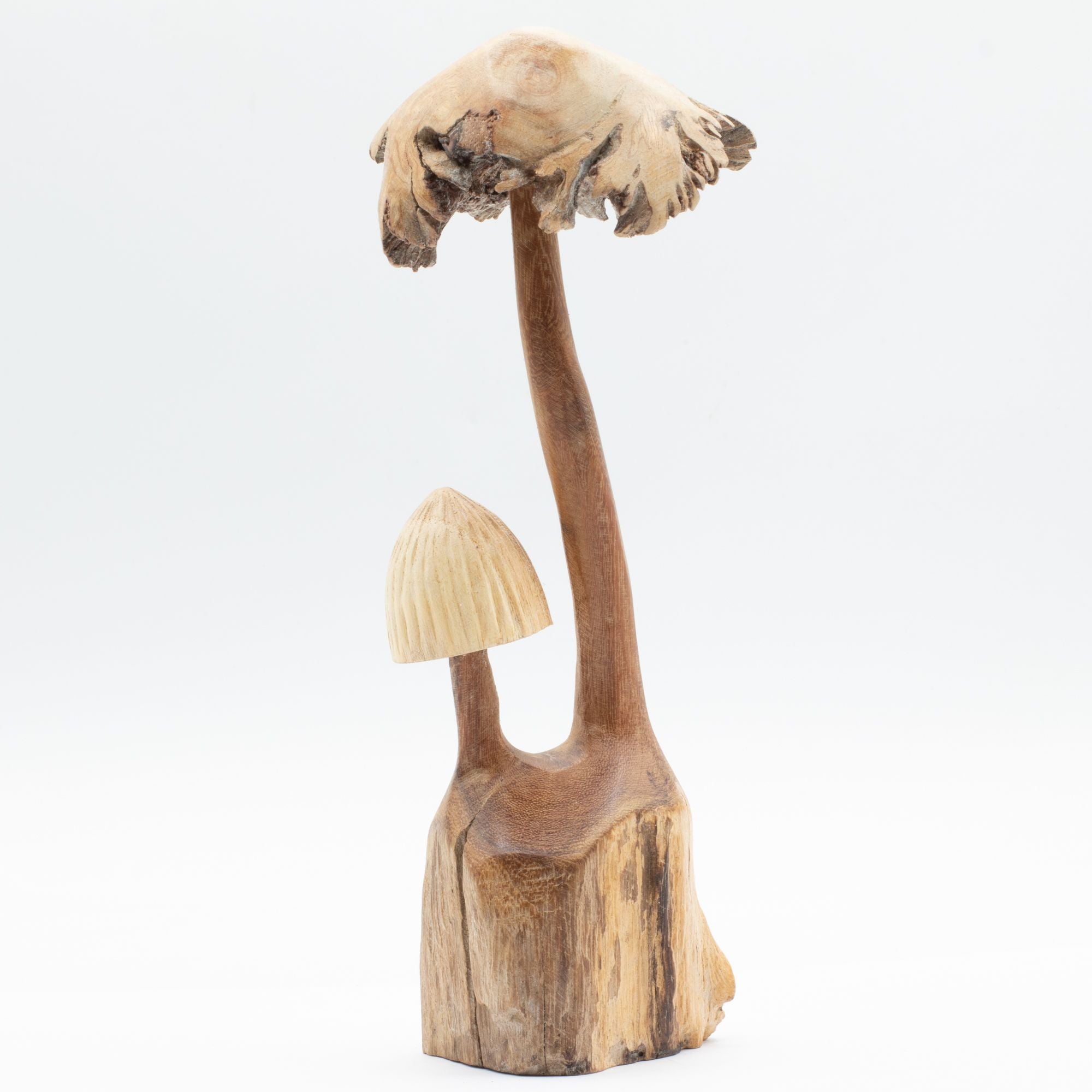 Hand-Carved Parasite Wood Mushrooms - Set of 2 – detail view 5