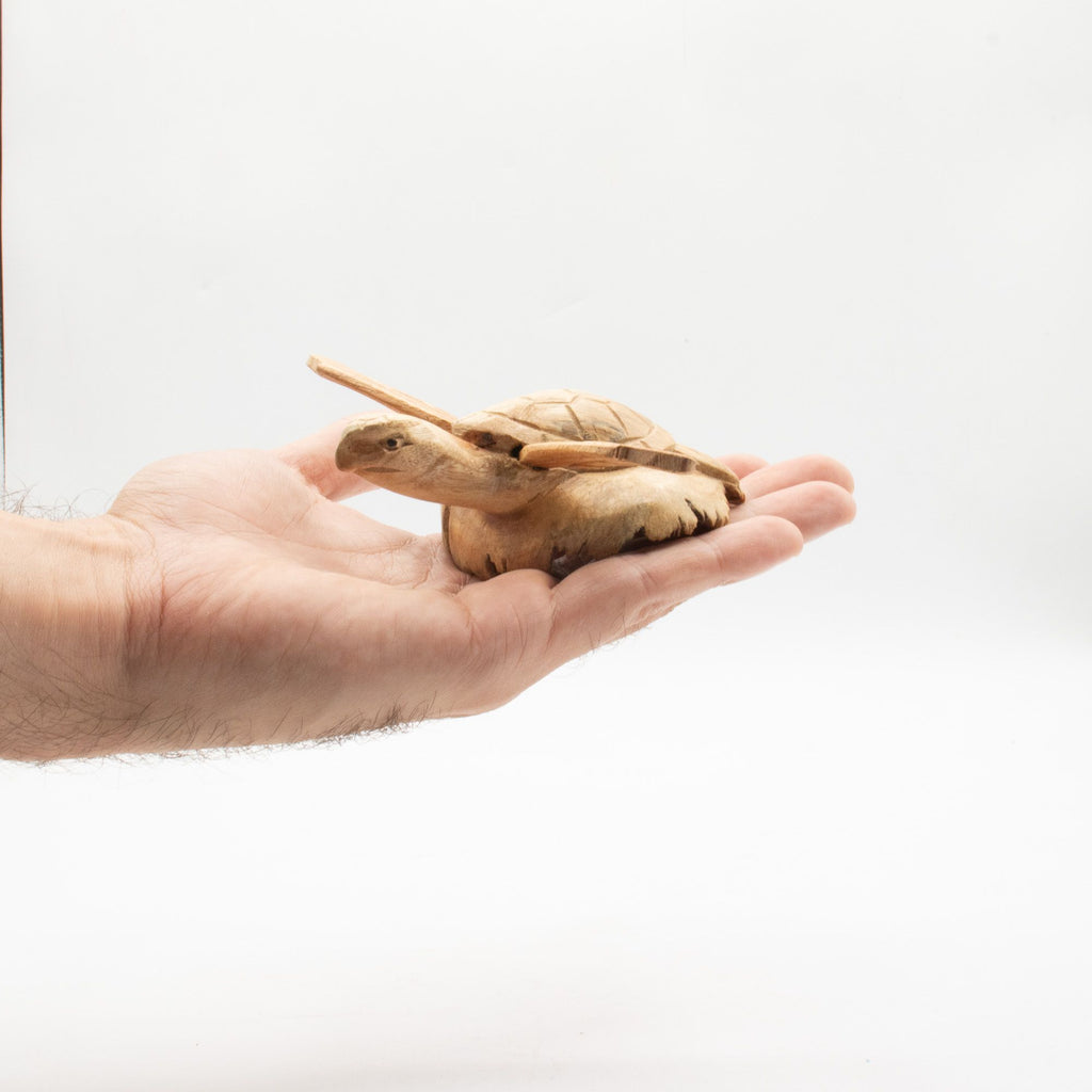 Hand-Carved Parasite Wood Sea Turtle Sculpture – detail view 4