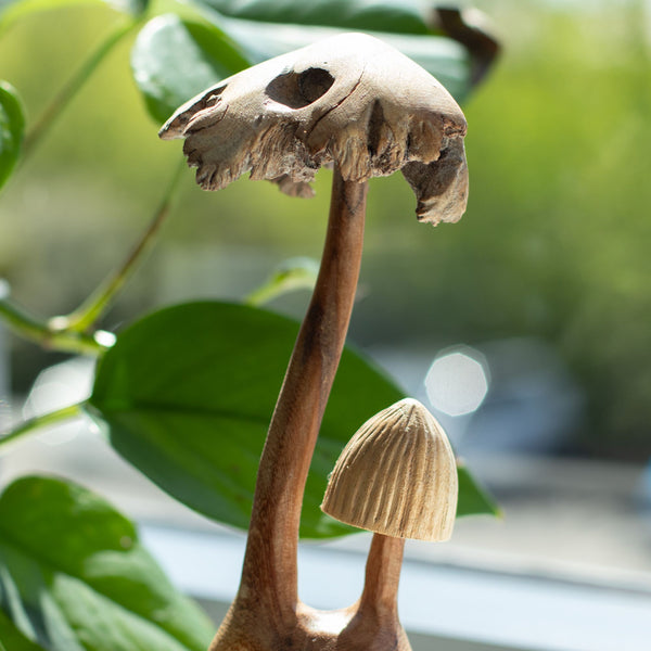Hand-Carved Parasite Wood Mushrooms - Set of 2 – product view