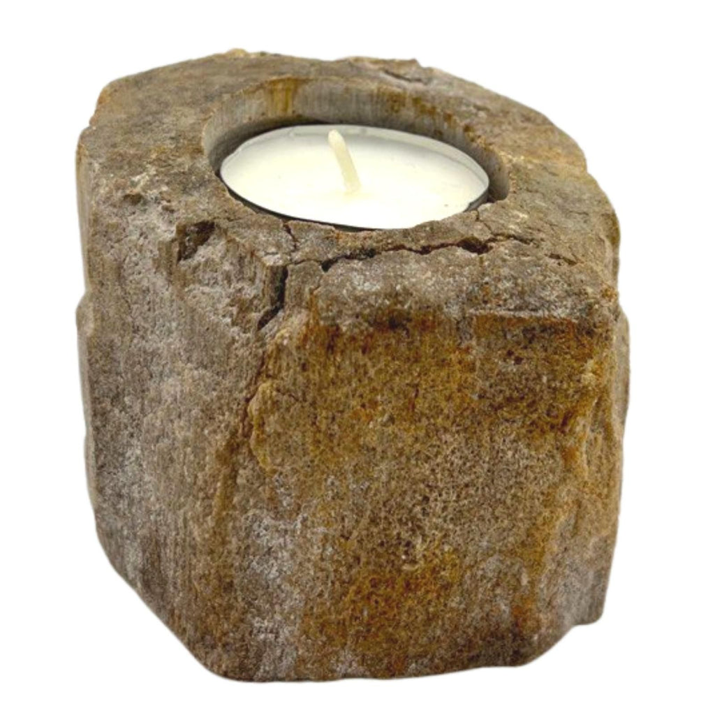 Petrified Wood Candle Holder – Single Low – detail view 3 of petrified wood candle holder