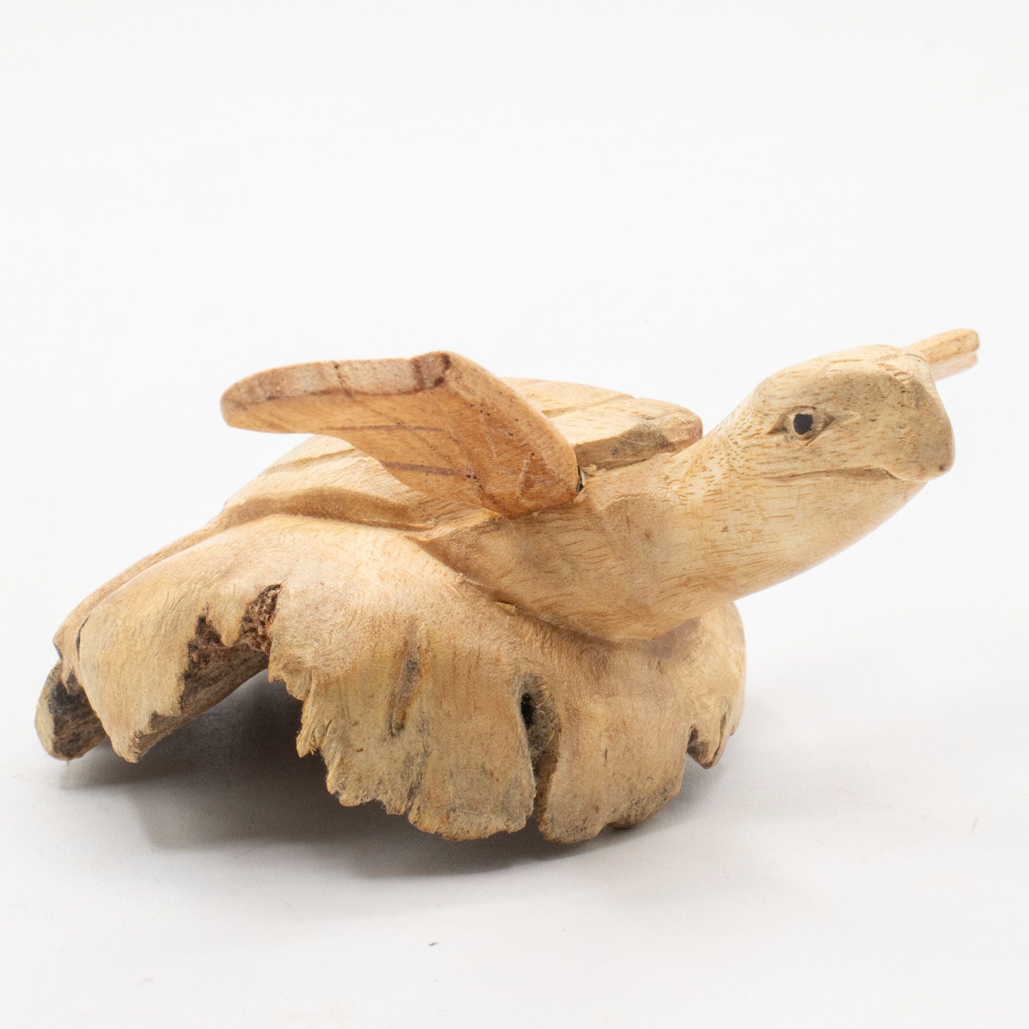 Hand-Carved Parasite Wood Sea Turtle Sculpture – detail view 2