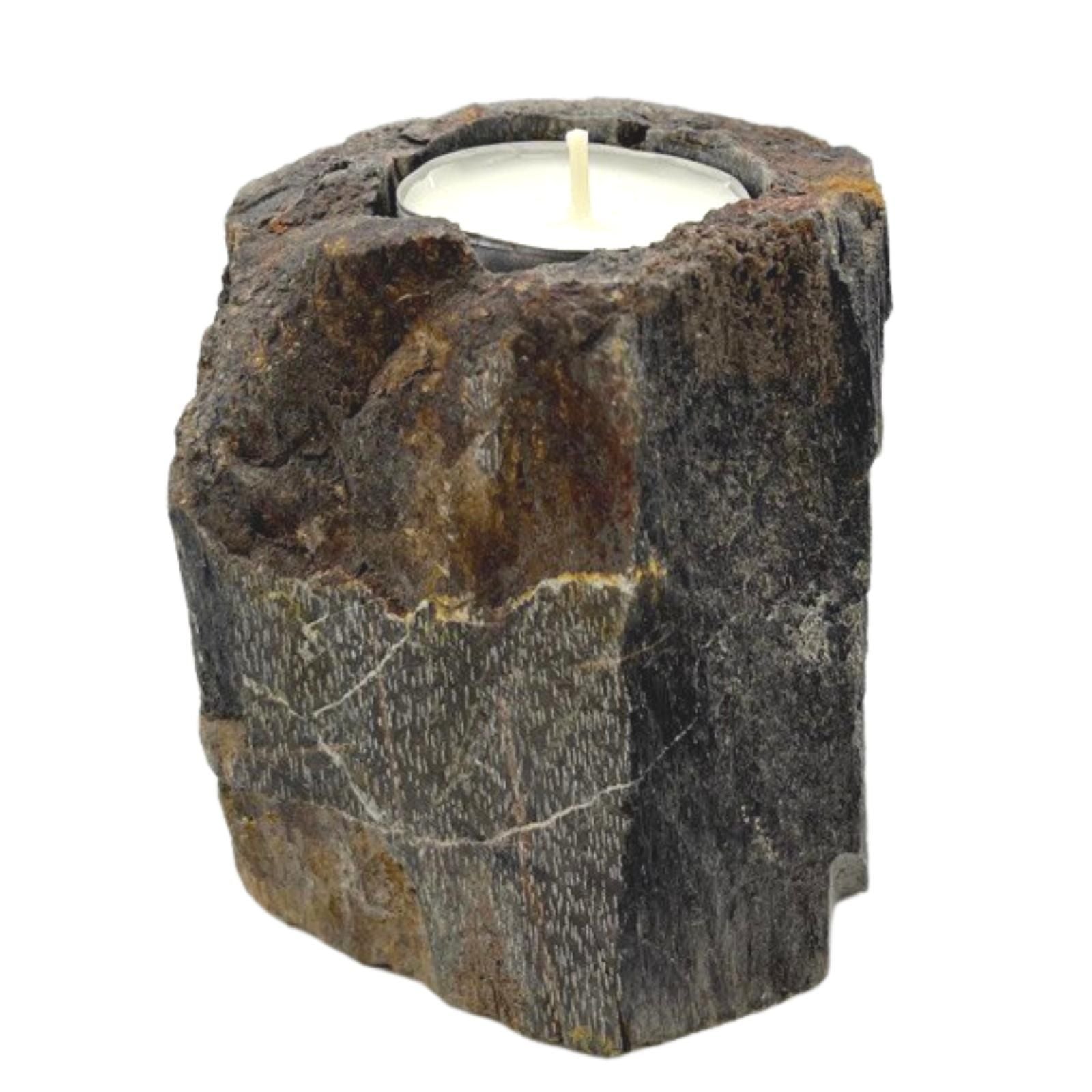 Petrified Wood Candle Holder – Single Low – detail view 2 of petrified wood candle holder