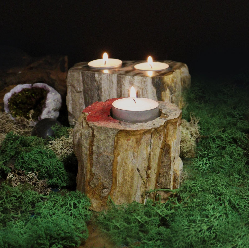 Petrified Wood Candle Holder – Single Low – detail view 5 of petrified wood candle holder