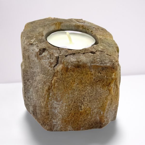 Petrified Wood Candle Holder – Single Low – front product view of petrified wood candle holder
