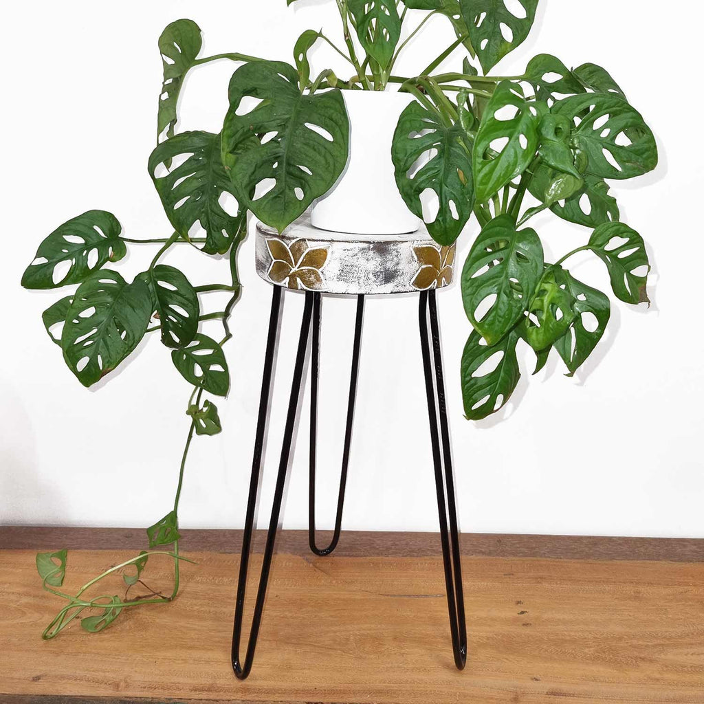 Albasia Wood Plant Stand – Whitewashed – detail view 3 of wooden plant stand