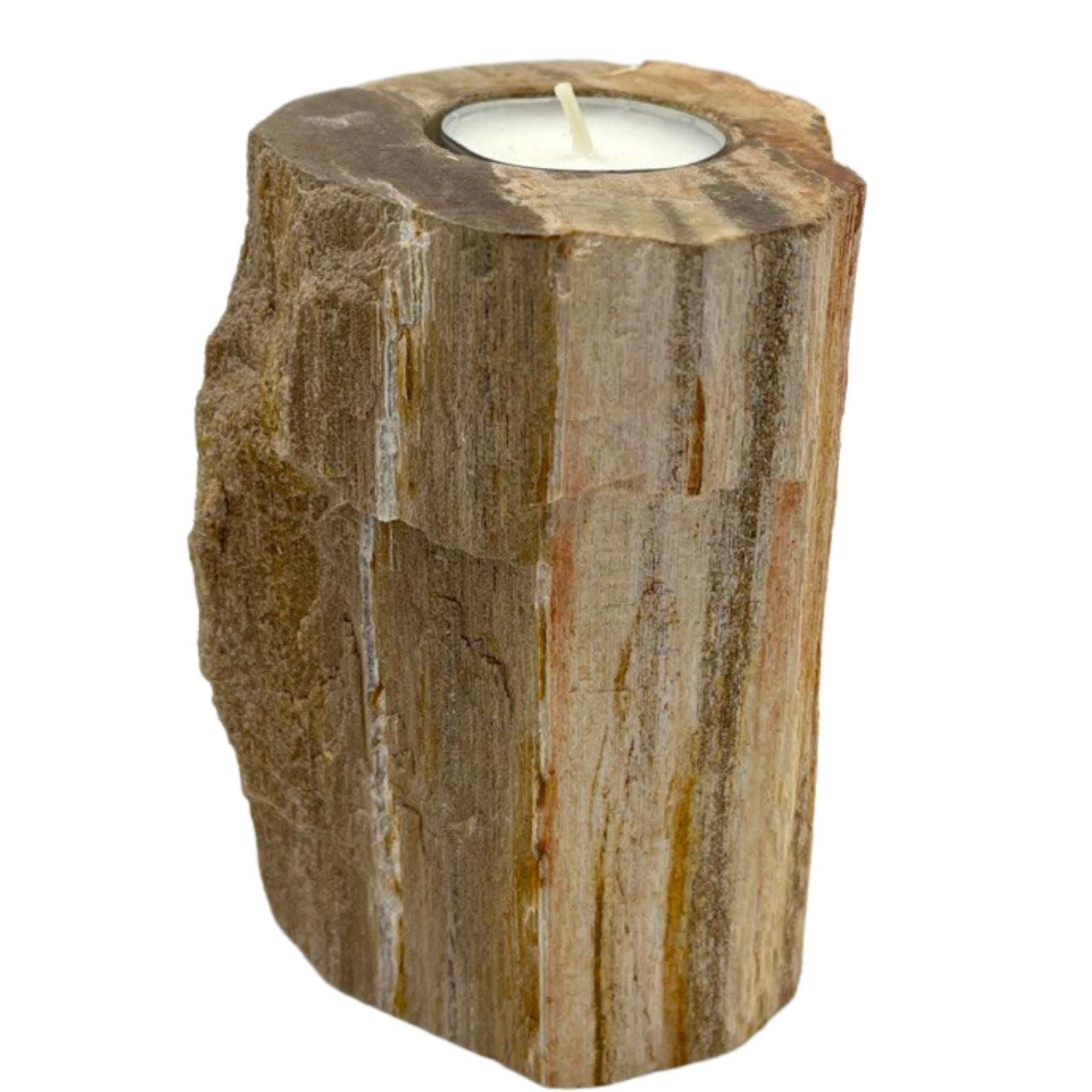 Petrified Wood Candle Holder – Single Tall – detail view 4 of petrified wood candle holder