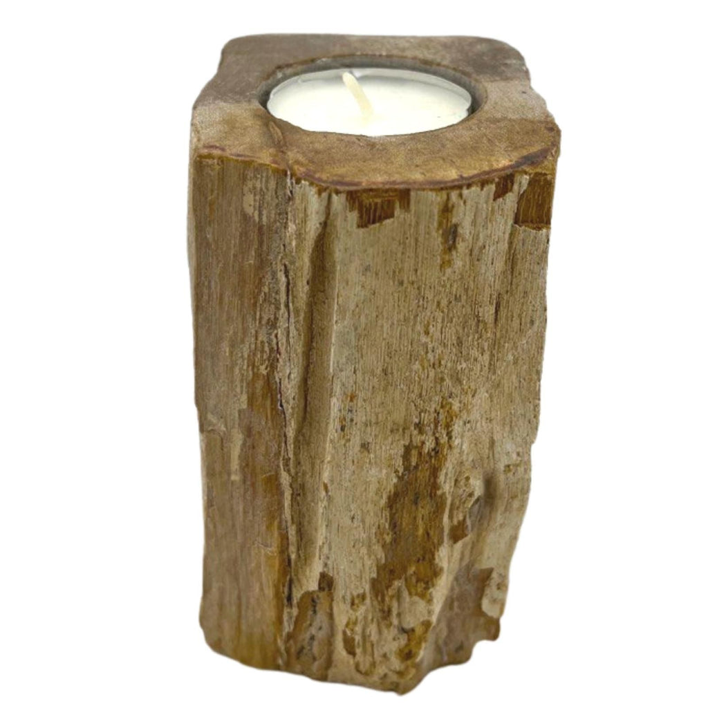 Petrified Wood Candle Holder – Single Tall – detail view 2 of petrified wood candle holder