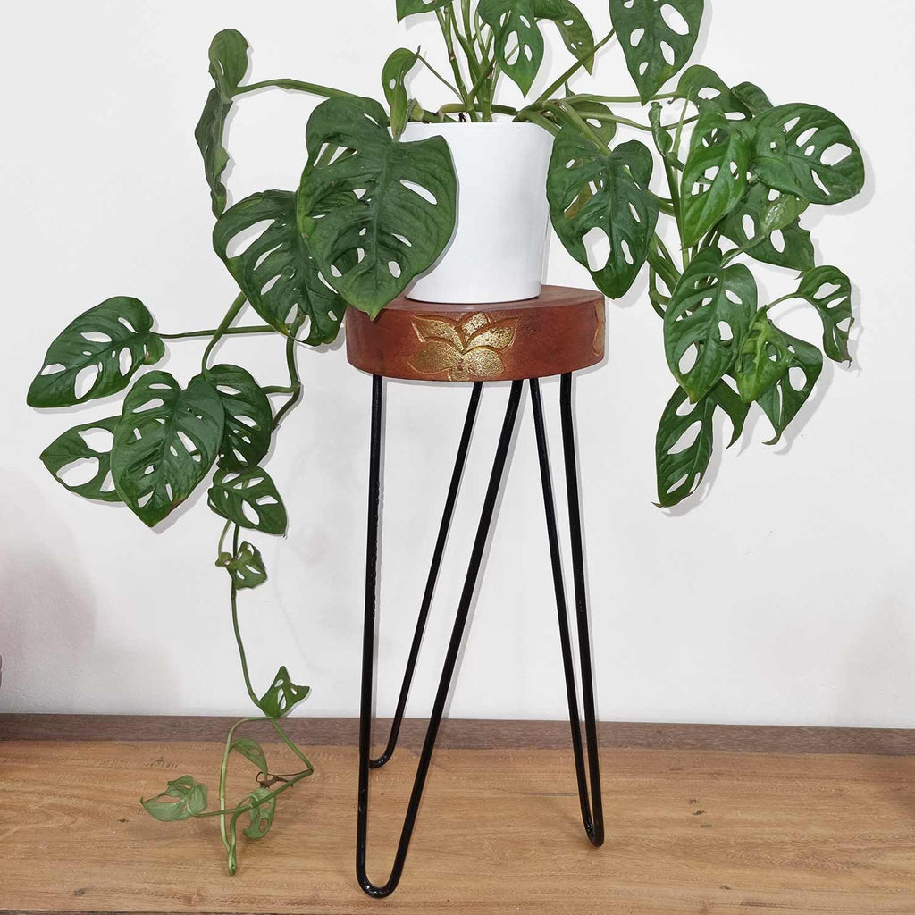 Albasia Wood Plant Stand – Whitewashed – detail view 5 of wooden plant stand