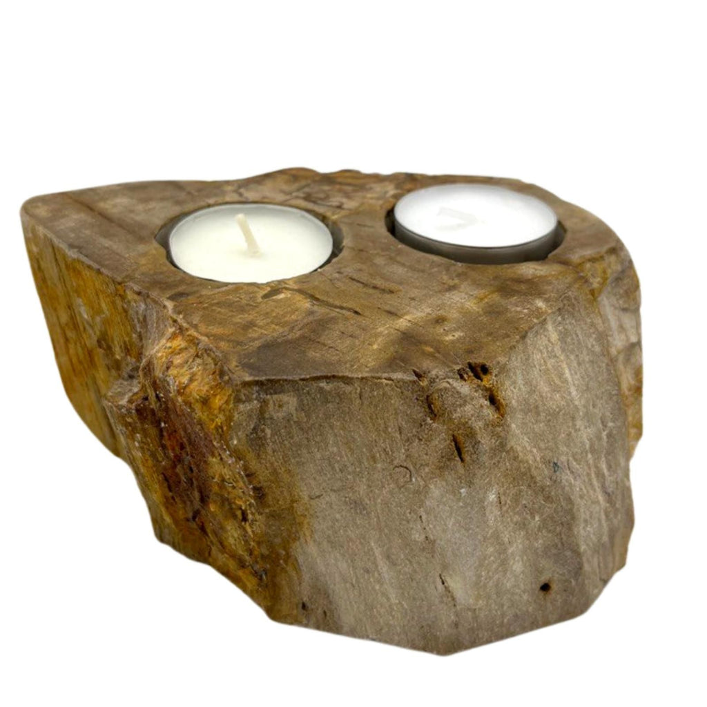 Petrified Wood Candle Holder – Double – detail view 6 of petrified wood candle holder